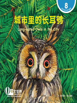 cover image of 城市里的长耳鸮 / Long-eared Owls in the City